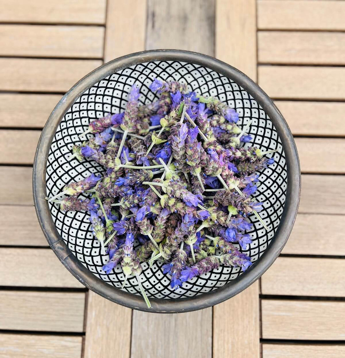 Bowl of Fresh Lavender Flowers - Rhino + Lucy