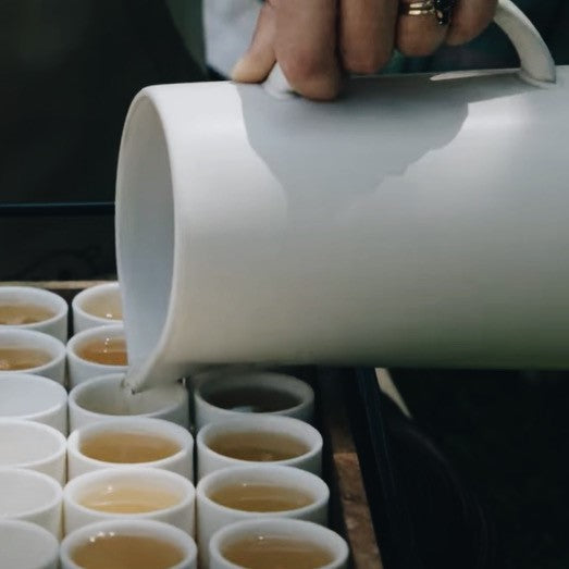 Rhino and Lucy, Tea Ceremony, Tea Meditation, Gong Fu, Chinese Tea Ceremony, Oolong, Puerh, Tea, Tea Shop, Tea Service, Los Angeles