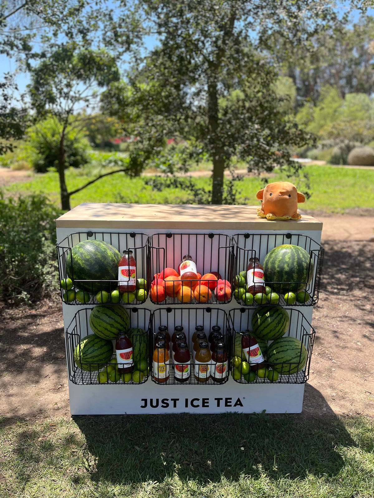 Rhino and Lucy Tea Blending Station and Pendulum Energy Readings at Just Ice Tea's Steeped in Summer Influencer Event 